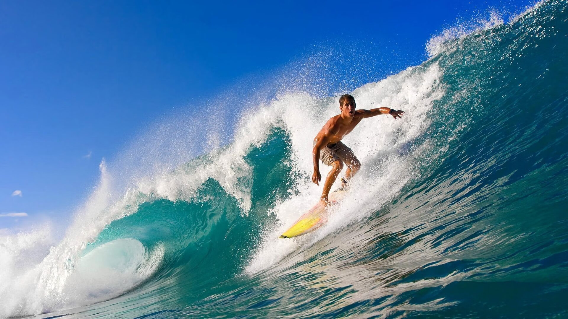 开云在线直播-战队故事：球队背后的文化与故事传承，球队简介50字